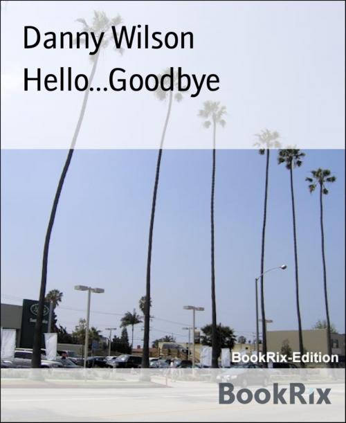 Cover of the book Hello...Goodbye by Danny Wilson, BookRix