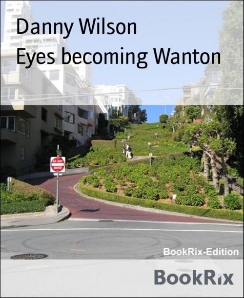 Cover of the book Eyes becoming Wanton by Danny Wilson, BookRix