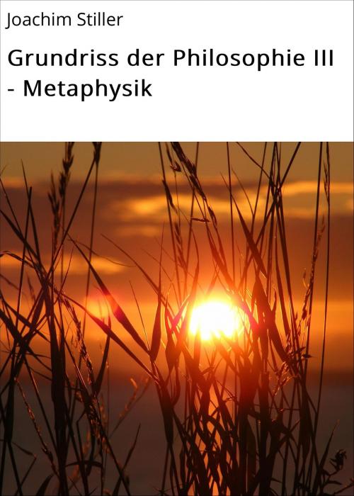 Cover of the book Grundriss der Philosophie III - Metaphysik by Joachim Stiller, neobooks