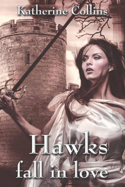 Cover of the book Hawks fall in love by Katherine Collins, neobooks