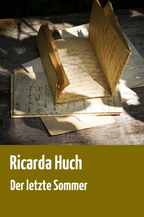 Cover of the book Der letzte Sommer by Ricarda Huch, Books on Demand
