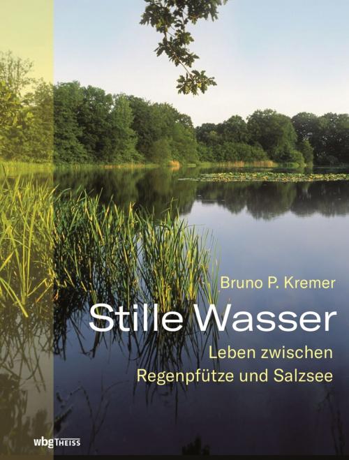Cover of the book Stille Wasser by Bruno P. Kremer, wbg Theiss
