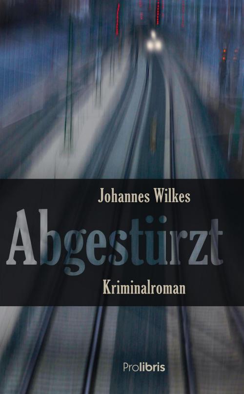 Cover of the book Abgestürzt by Johannes Wilkes, Prolibris Verlag
