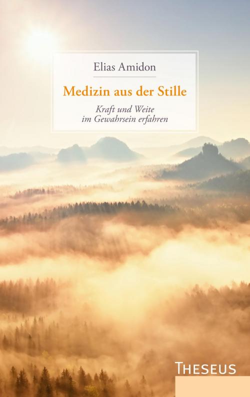 Cover of the book Medizin aus der Stille by Elias Amidon, Theseus Verlag