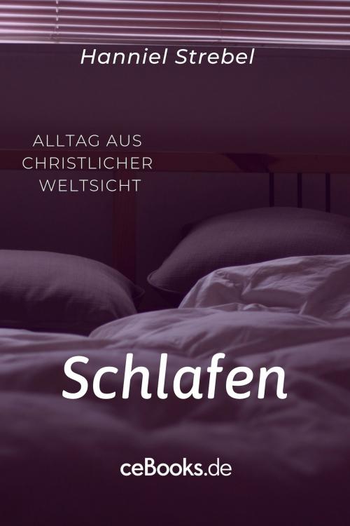 Cover of the book Schlafen by Hanniel Strebel, Folgen Verlag