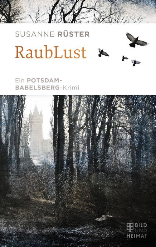 Cover of the book RaubLust by Susanne Rüster, Bild und Heimat