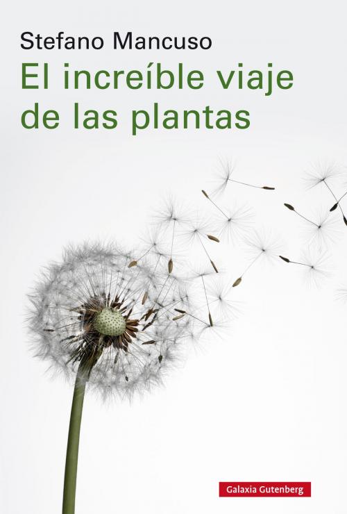 Cover of the book El increíble viaje de las plantas by Stefano Mancuso, Galaxia Gutenberg