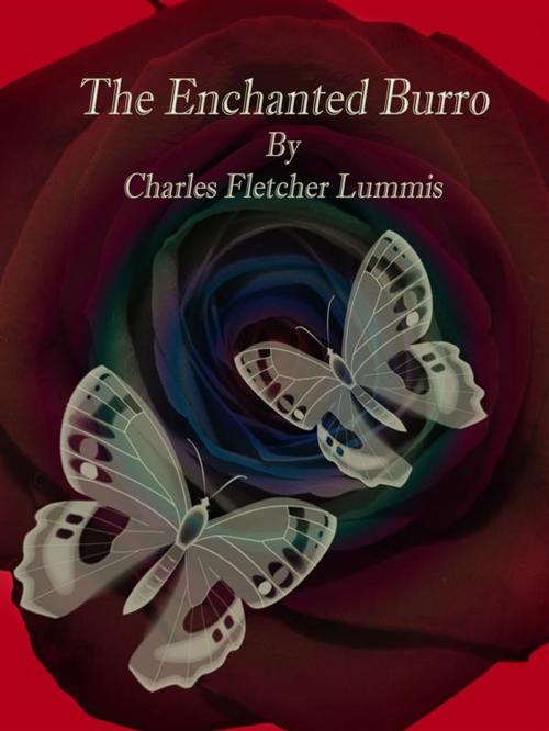 Cover of the book The Enchanted Burro by Charles Fletcher Lummis, Publisher s11838