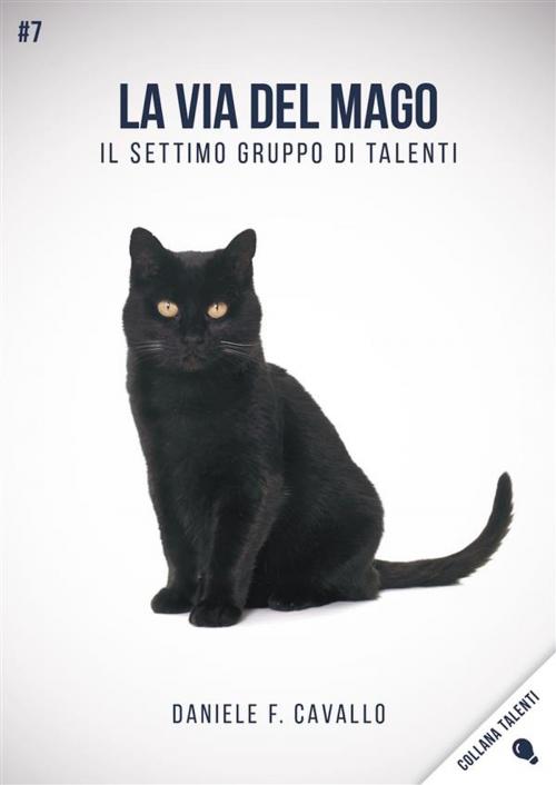 Cover of the book La via del Mago by Daniele F. Cavallo, Daniele F. Cavallo