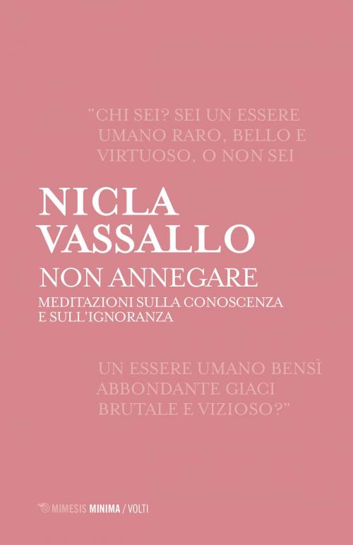 Cover of the book Non annegare by Nicla Vassallo, Mimesis Edizioni