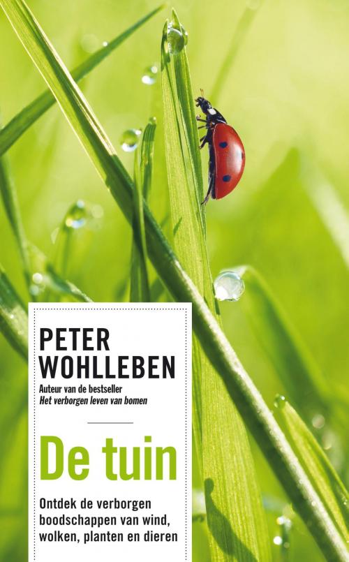 Cover of the book De tuin by Peter Wohlleben, Bruna Uitgevers B.V., A.W.