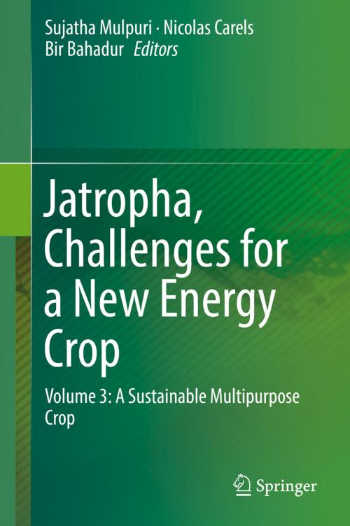 Cover of the book Jatropha, Challenges for a New Energy Crop by , Springer Singapore