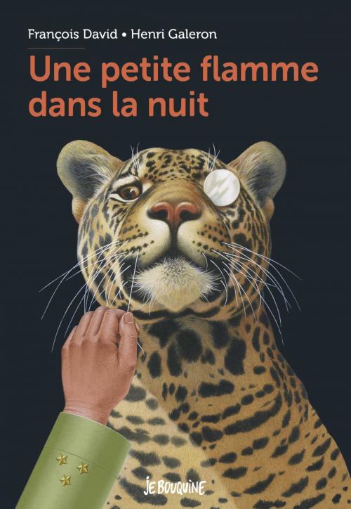 Cover of the book Une petite flamme dans la nuit by François David, Bayard Jeunesse
