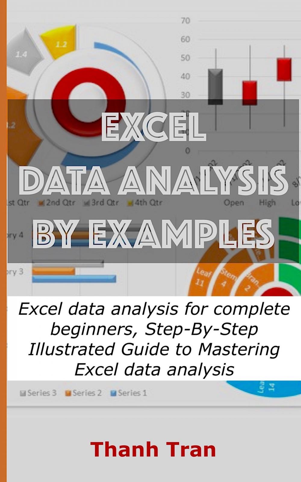 Big bigCover of Excel data analysis by examples