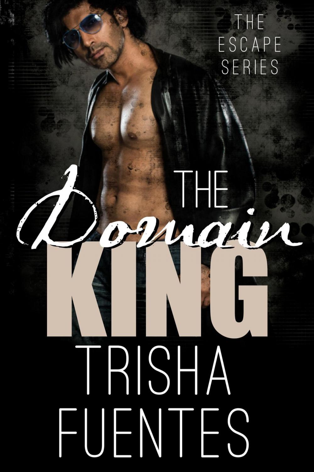 Big bigCover of The Domain King
