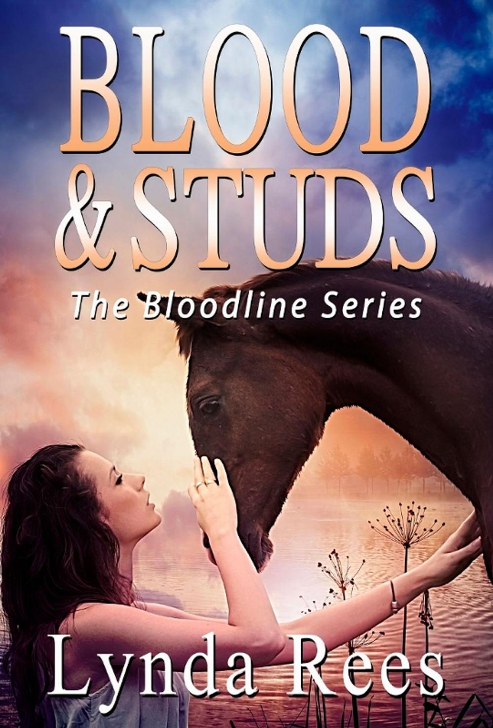 Big bigCover of Blood & Studs