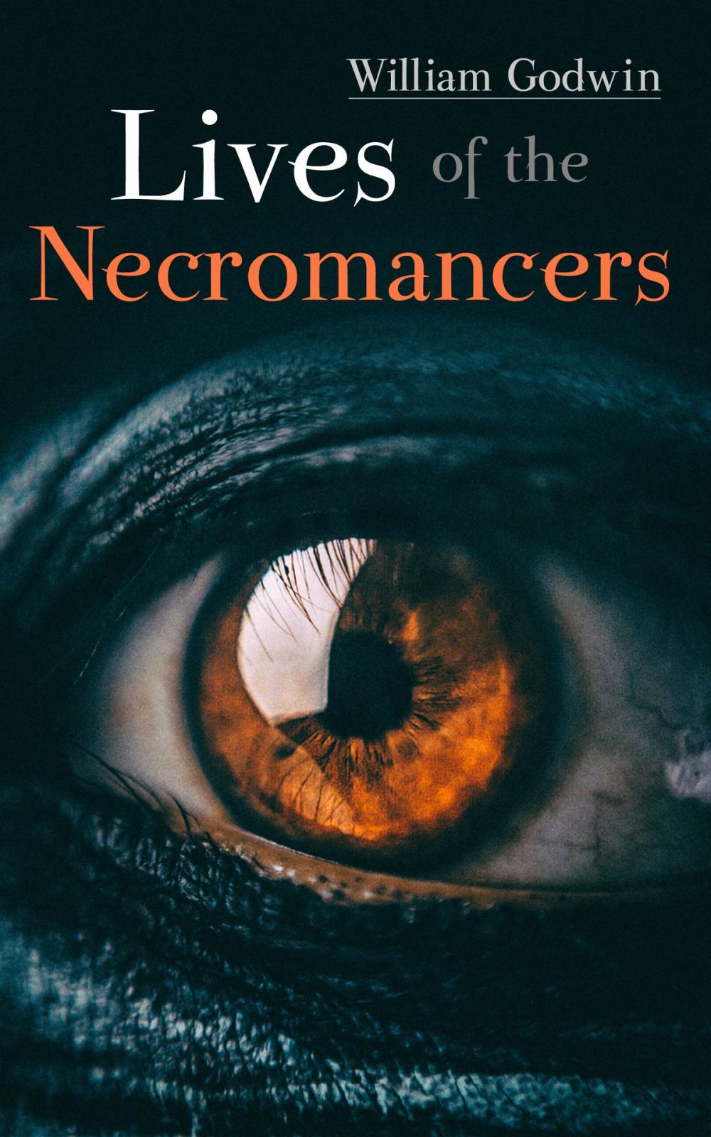 Big bigCover of Lives of the Necromancers