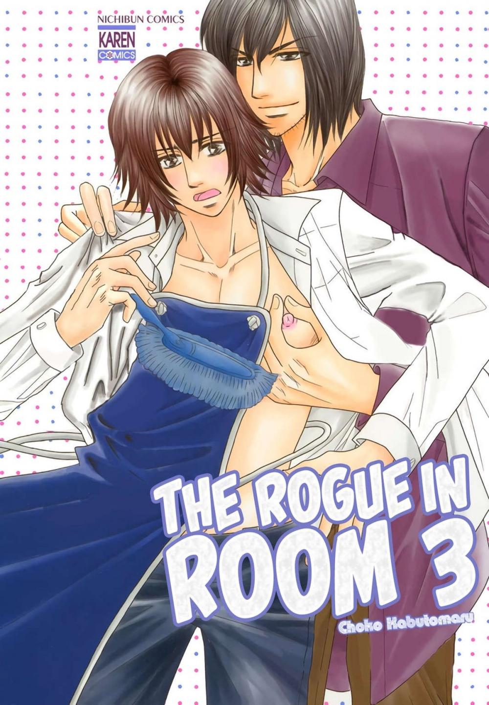 Big bigCover of The Rogue in Room 3 (Yaoi Manga)