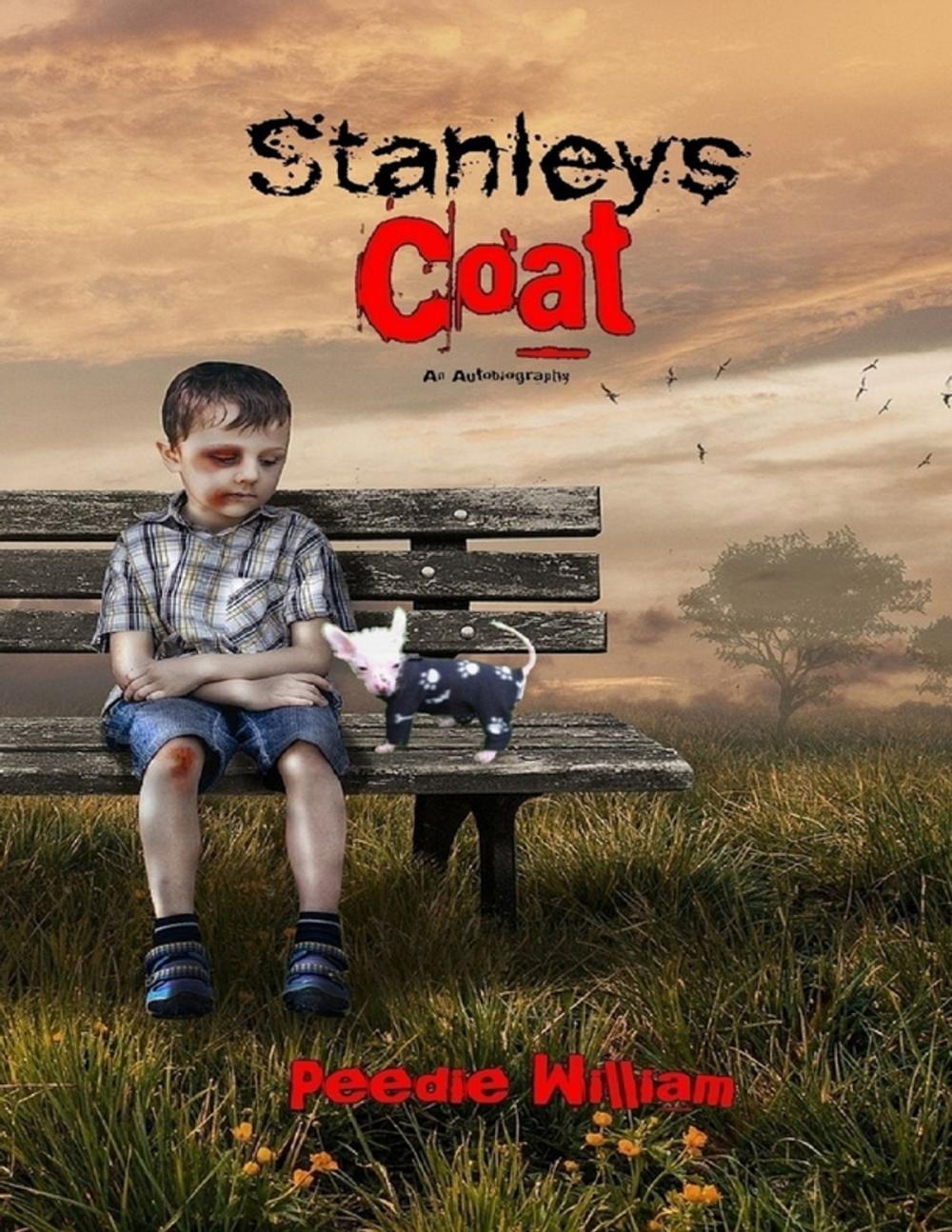Big bigCover of Stanley's Coat