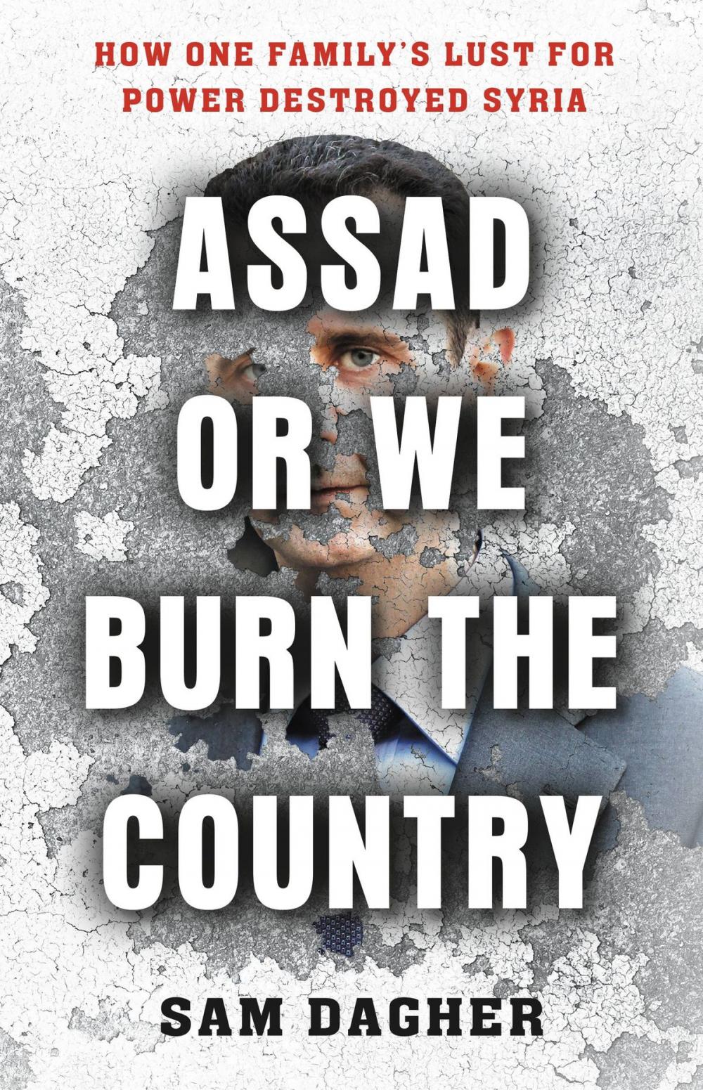 Big bigCover of Assad or We Burn the Country