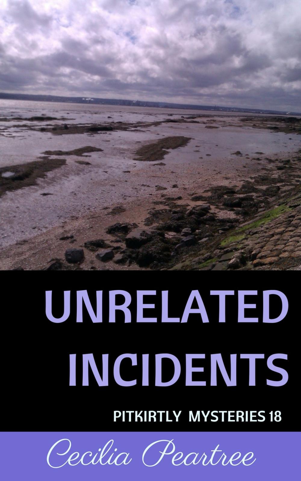 Big bigCover of Unrelated Incidents