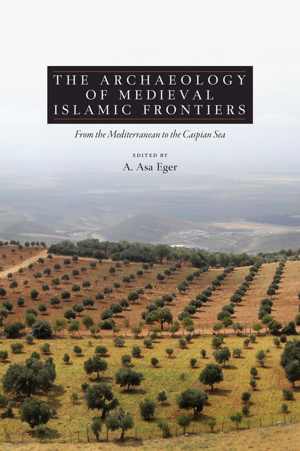 Big bigCover of The Archaeology of Medieval Islamic Frontiers