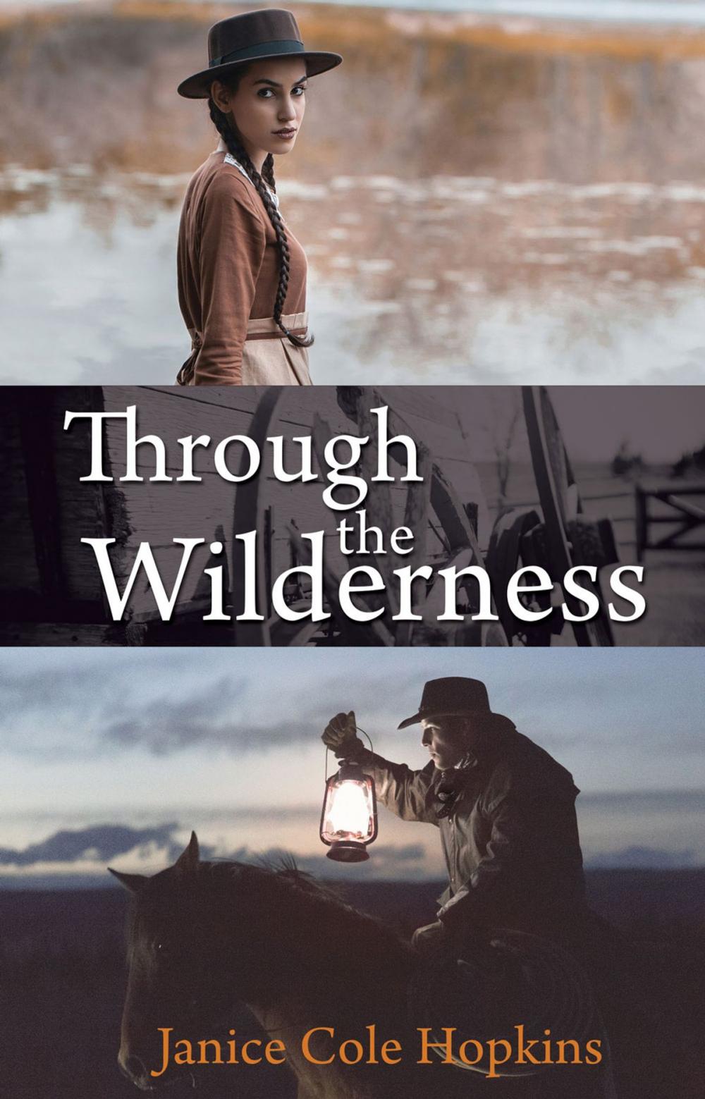 Big bigCover of Through the Wilderness