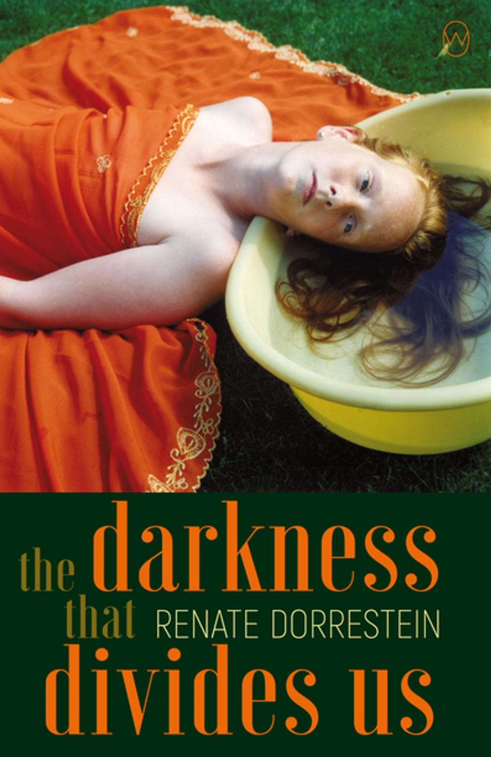 Big bigCover of The Darkness that Divides Us