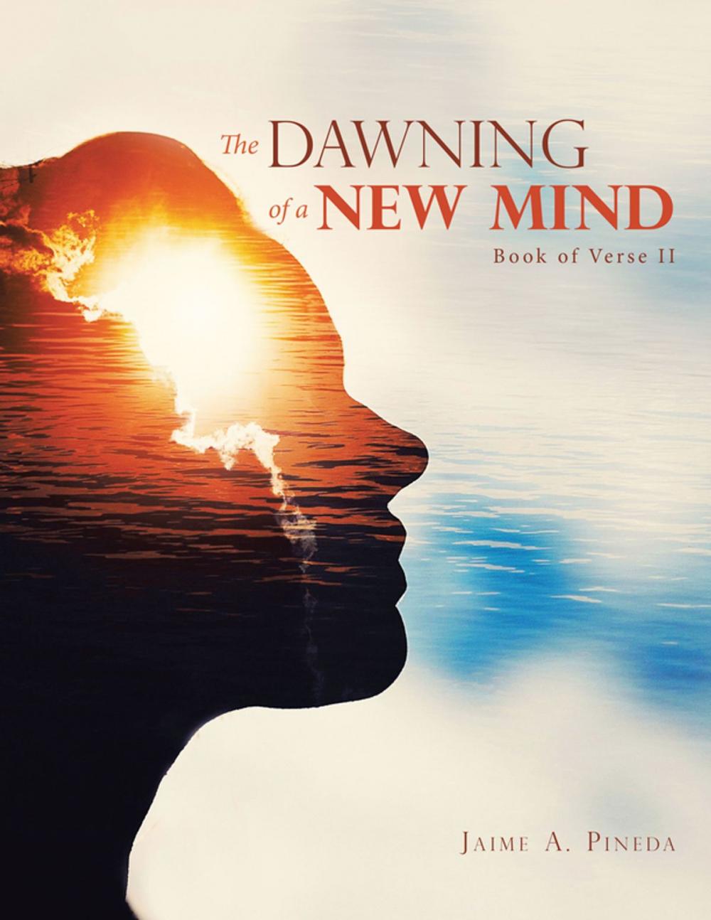 Big bigCover of The Dawning of a New Mind