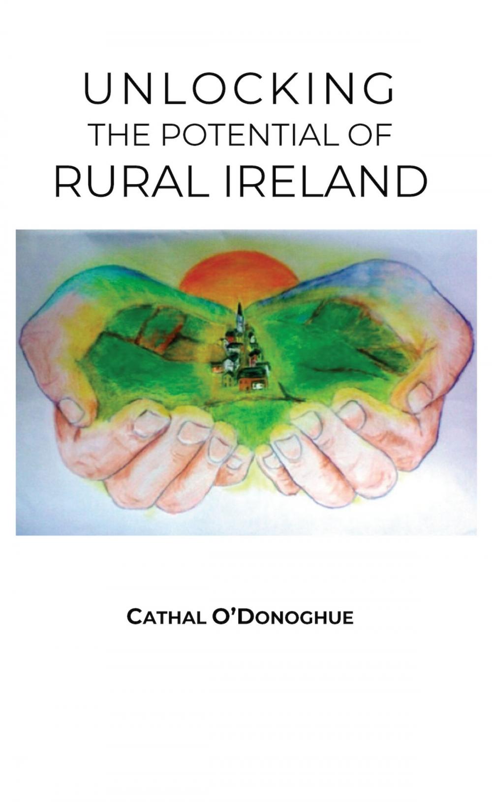Big bigCover of Unlocking the Potential of Rural Ireland