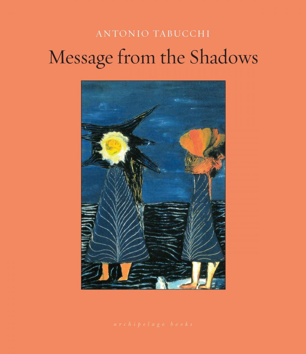 Big bigCover of Message from the Shadows