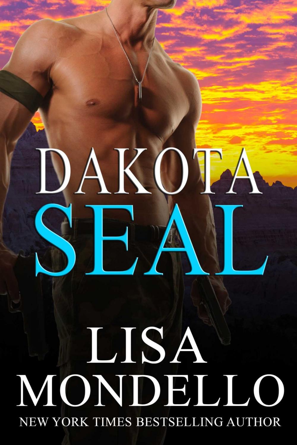 Big bigCover of Dakota SEAL