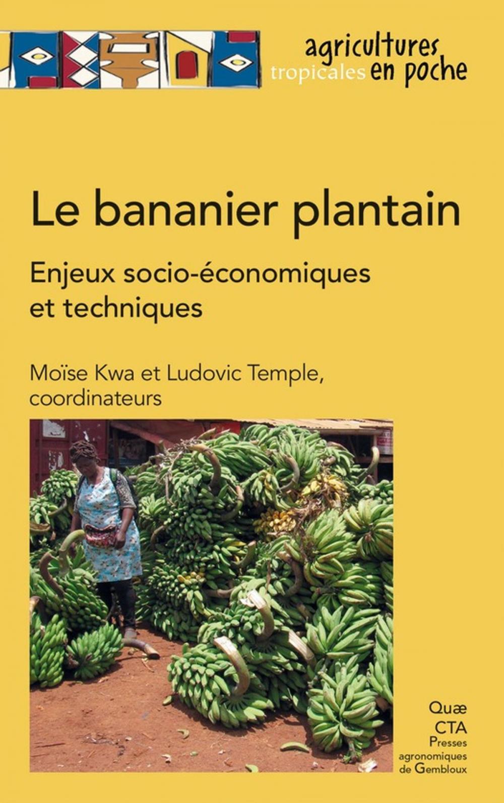 Big bigCover of Le bananier plantain