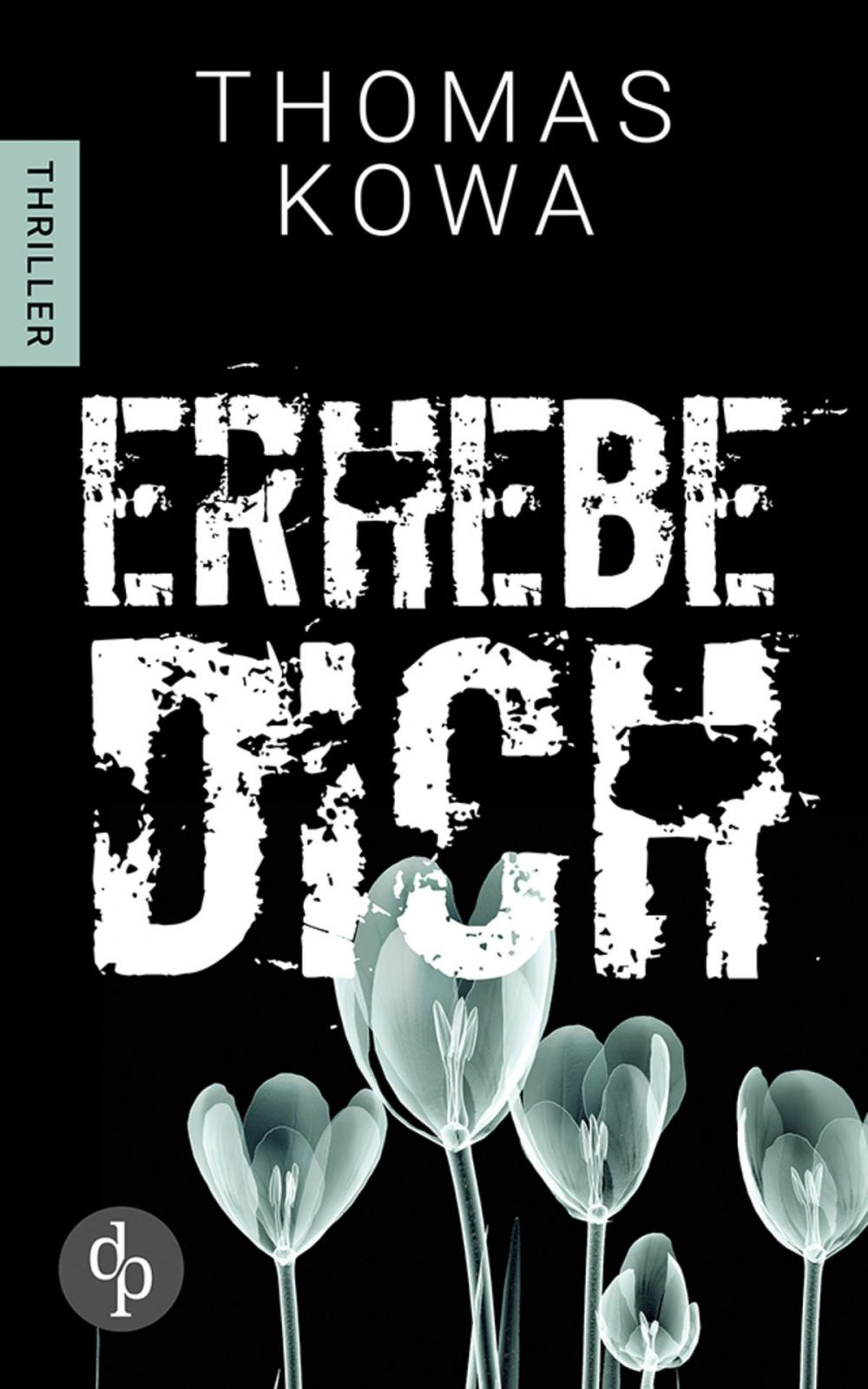 Big bigCover of Erhebe dich