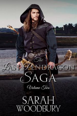Book cover of The Last Pendragon Saga Volume 2 (The Last Pendragon Saga)