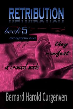Cover of the book Retribution by Richard Paul Myburgh