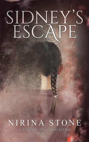 Cover of the book Sidney's Escape by Kenneth Igiri