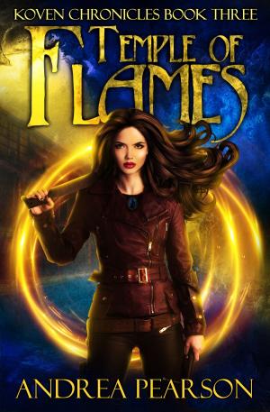 Cover of the book Temple of Flames by Ottilie Weber