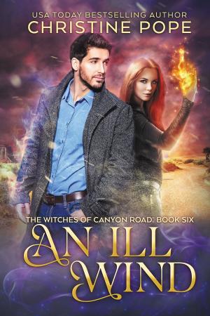 Cover of the book An Ill Wind by Christine Pope