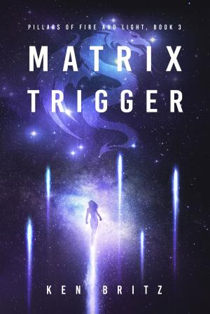 Cover of the book Matrix Trigger by Raquel Lyon