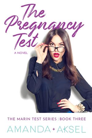 Cover of the book The Pregnancy Test by Donna Marie Rogers