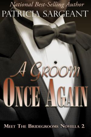Cover of A Groom Once Again: Meet the Bridegrooms, Novella 2