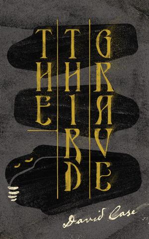 Cover of the book The Third Grave by Oliver Onions