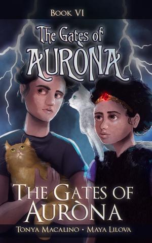 Cover of the book The Gates of Aurona by Stephen Miller