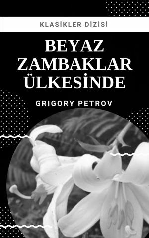 Cover of the book Beyaz Zambaklar Ülkesinde by Sarah Orne Jewett