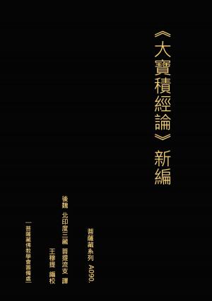 Cover of the book ⼤寶積經論 新編 by Peter Higgins