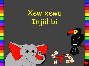 Book cover of Xew xewu Injiil bi
