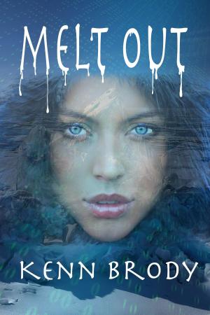 Cover of the book Melt-Out by Tiffany Shand