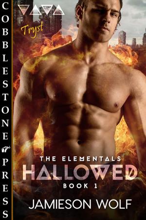 Cover of the book Hallowed by Marie Rochelle