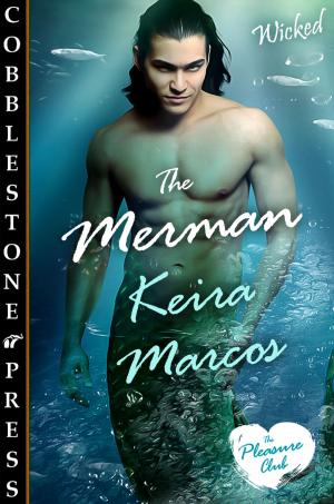 Cover of the book The Merman by Penny Mickelbury